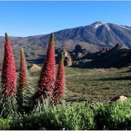 Appartement Primavera *