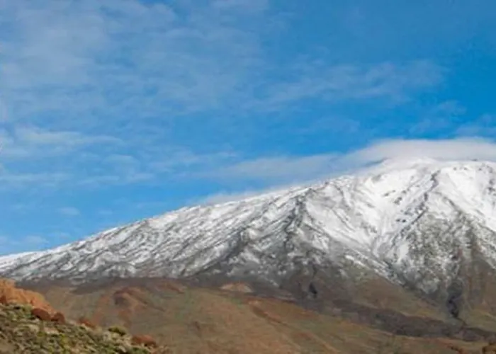 Apartman Primavera *